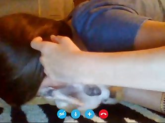 Animal Bf Sex