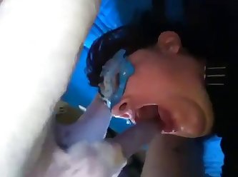 Seal Animal Sex