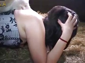 Anime Animal Sex Gif