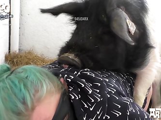 Animal Kingdom Show Sex Scenes