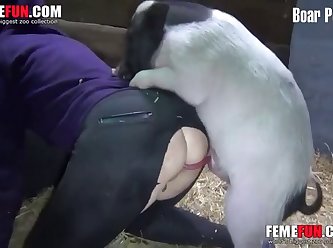 Man Animal Sex Porn