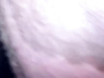 Sex Scenes In Animal Kingdom