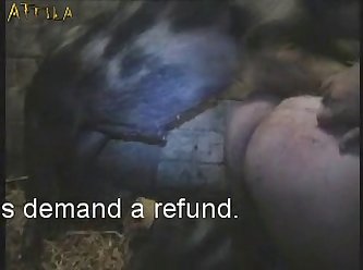 Animal Having Sex With People