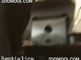 Animal Sex Full Videos