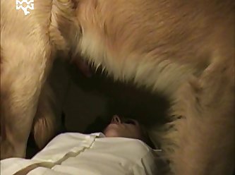 Dog Masturbators Realistic Sex Animal Toy Inflatable Silicone India