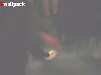 Animal Hentai Sex Video