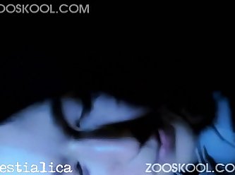Animal Sex Human Video