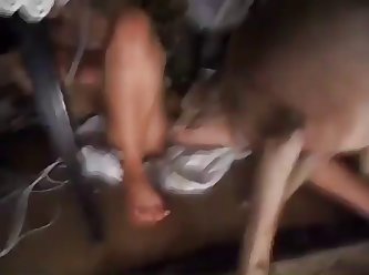 Italian Animal Sex