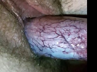 Animal Sex Mature