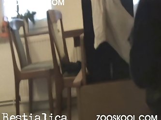 Free Animal Sex Porn Video