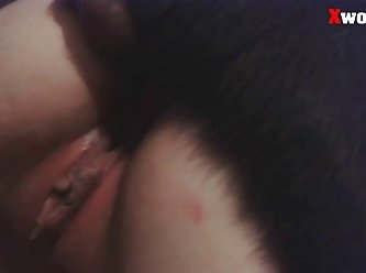 Guy Having Sex With A Animal