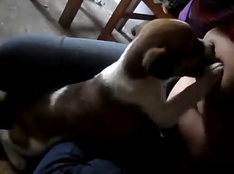 What Is Animal Style Sex