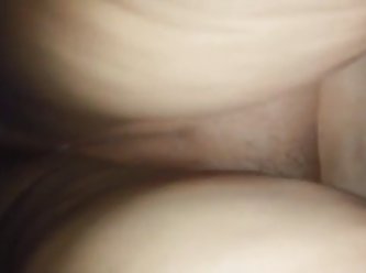Xnxx Animal Sex Com