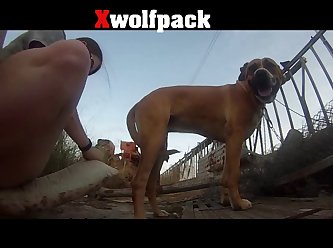 Animal Sex American