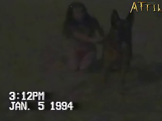 Animal Sex Videos