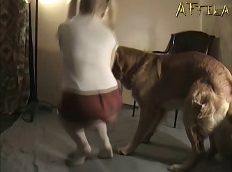 Animal Comics Sex