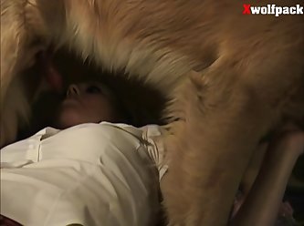 What Animal Has The Most Sex In The World