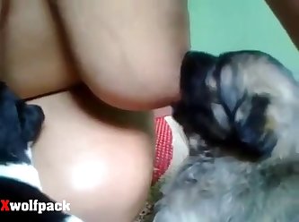 Video Sex Man With Animal