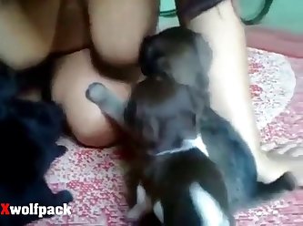 Video Sex Man With Animal