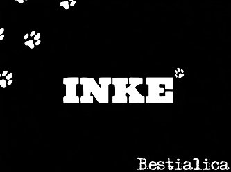 Animal Person Sex