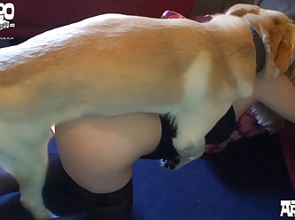 Sex Girl And Animal Video