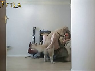 Animal Human Sex Porn