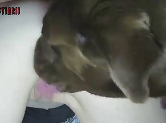 Girls Vs Animal Sex