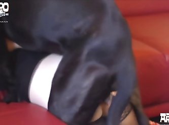 Mom Loves Animal Sex