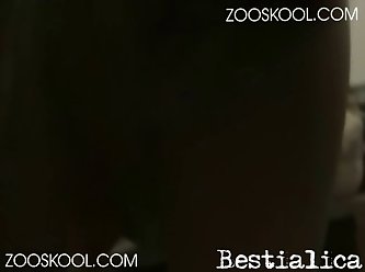 Xxx Animal Sex Dog