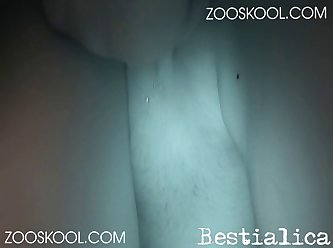 Xxx Animal Sex Dog