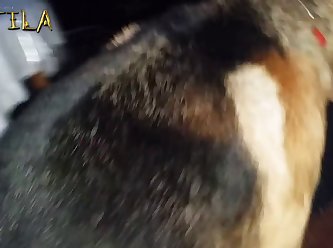 Animal Sex Porn Stories