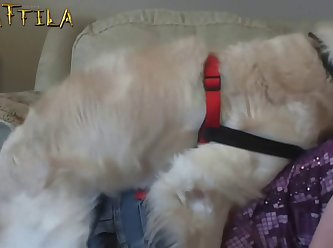 Woman With Animal Sex Video
