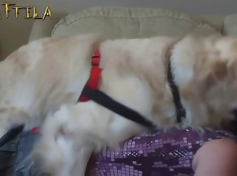 Woman With Animal Sex Video