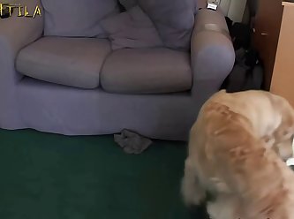 Animal Sex Video With Woman