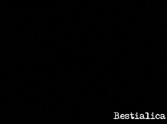 Gay Boy Sex With Animal