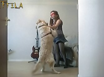 Animal Sex Bl