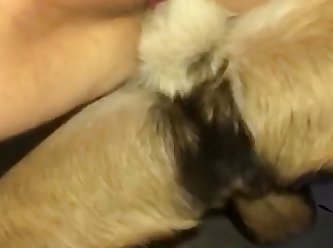 Bokep Sex With Animal