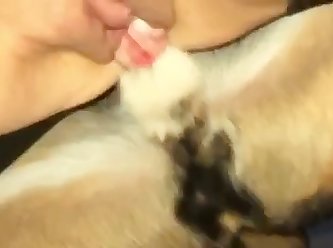 Bokep Sex With Animal