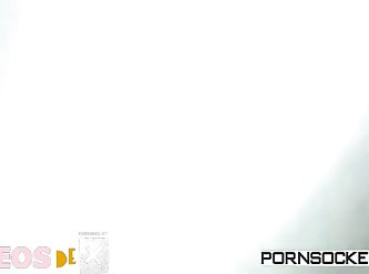 Animal Pig Sex Videos