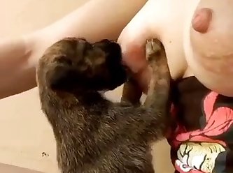 Animal That Dies During Sex