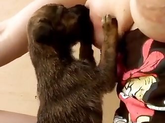 Animal That Dies During Sex