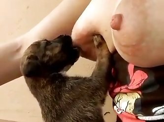 Animal That Dies During Sex