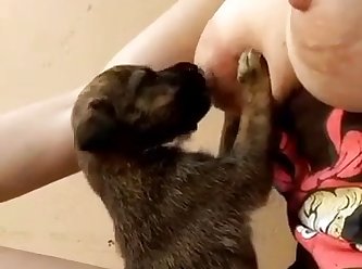 Animal That Dies During Sex