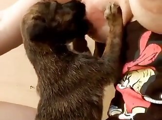 Animal That Dies During Sex