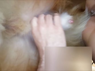 Sex Animal Crossing Cat