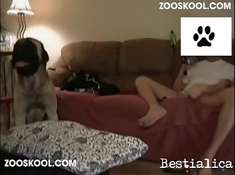 Animal Zoo Sex Videos
