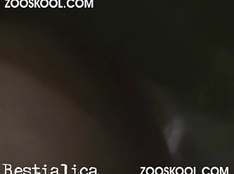 Porn With Animal Sex