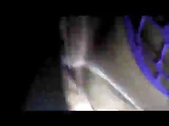 Which Animal Like Sex Most