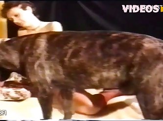 Desi Animal Sex Story