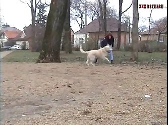 Animal Sex For Man